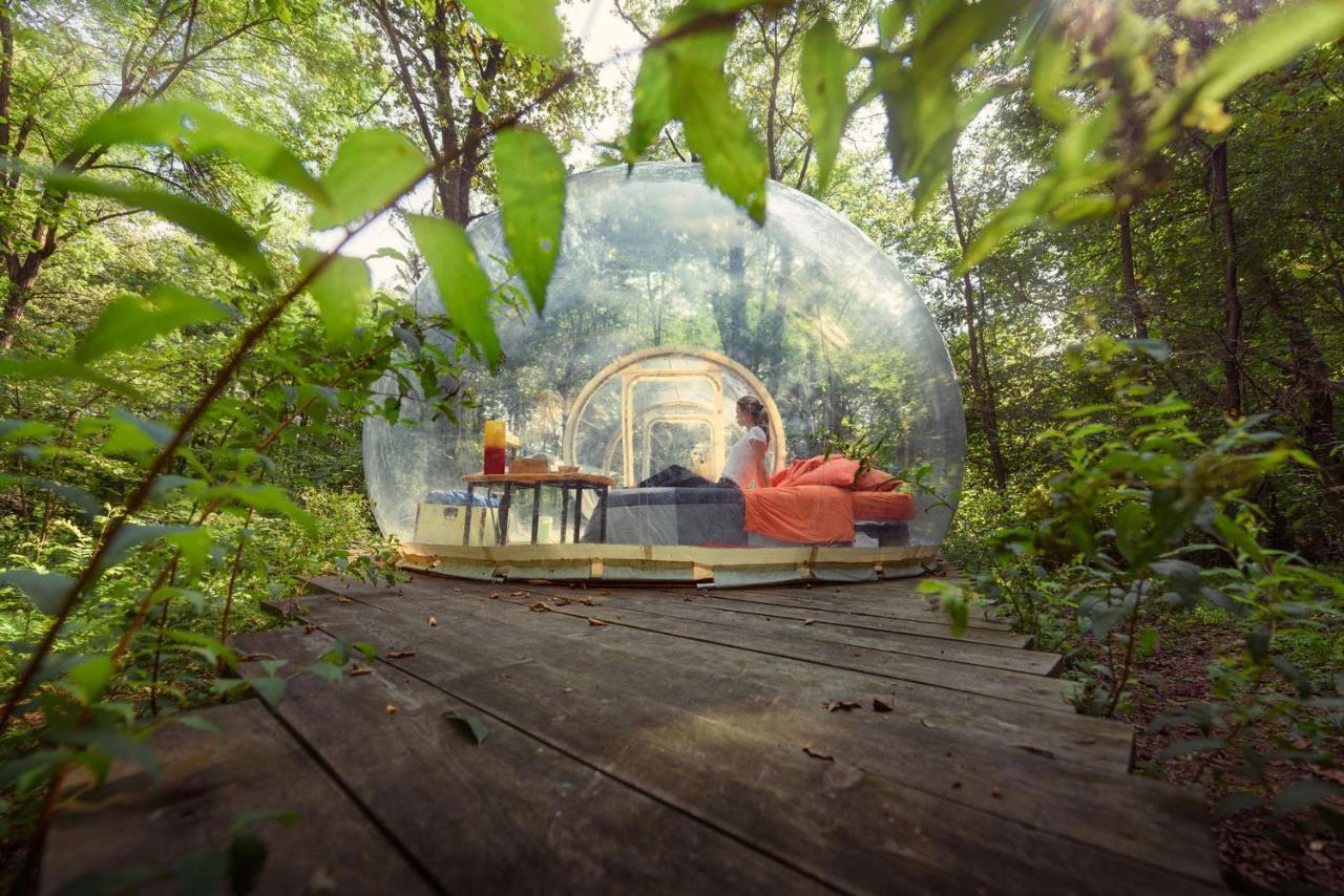 Camping Future Is Nature Playground Sala Biellese Dış mekan fotoğraf